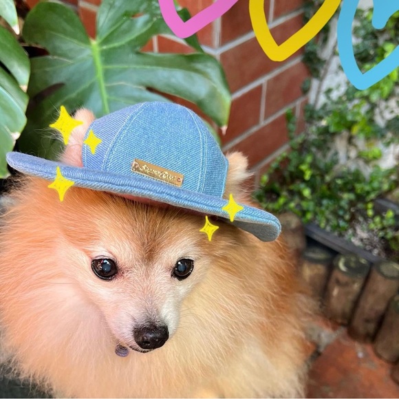 Pets hat fit cat and dog - Picture 2 of 3